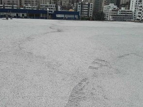 深圳熱銷混凝土 輕質(zhì)混凝土價(jià)格